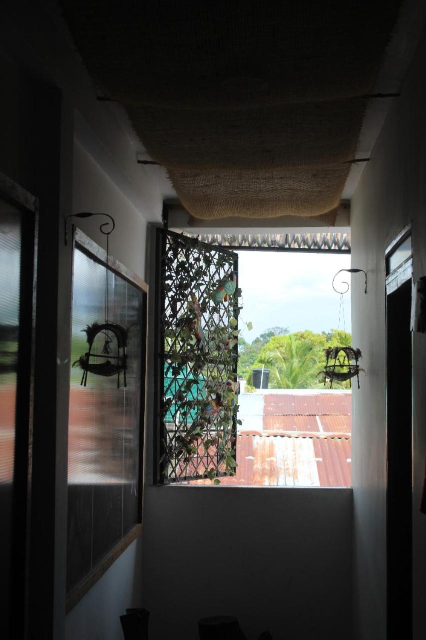 Hotel Gavas Amazonas Leticia Luaran gambar