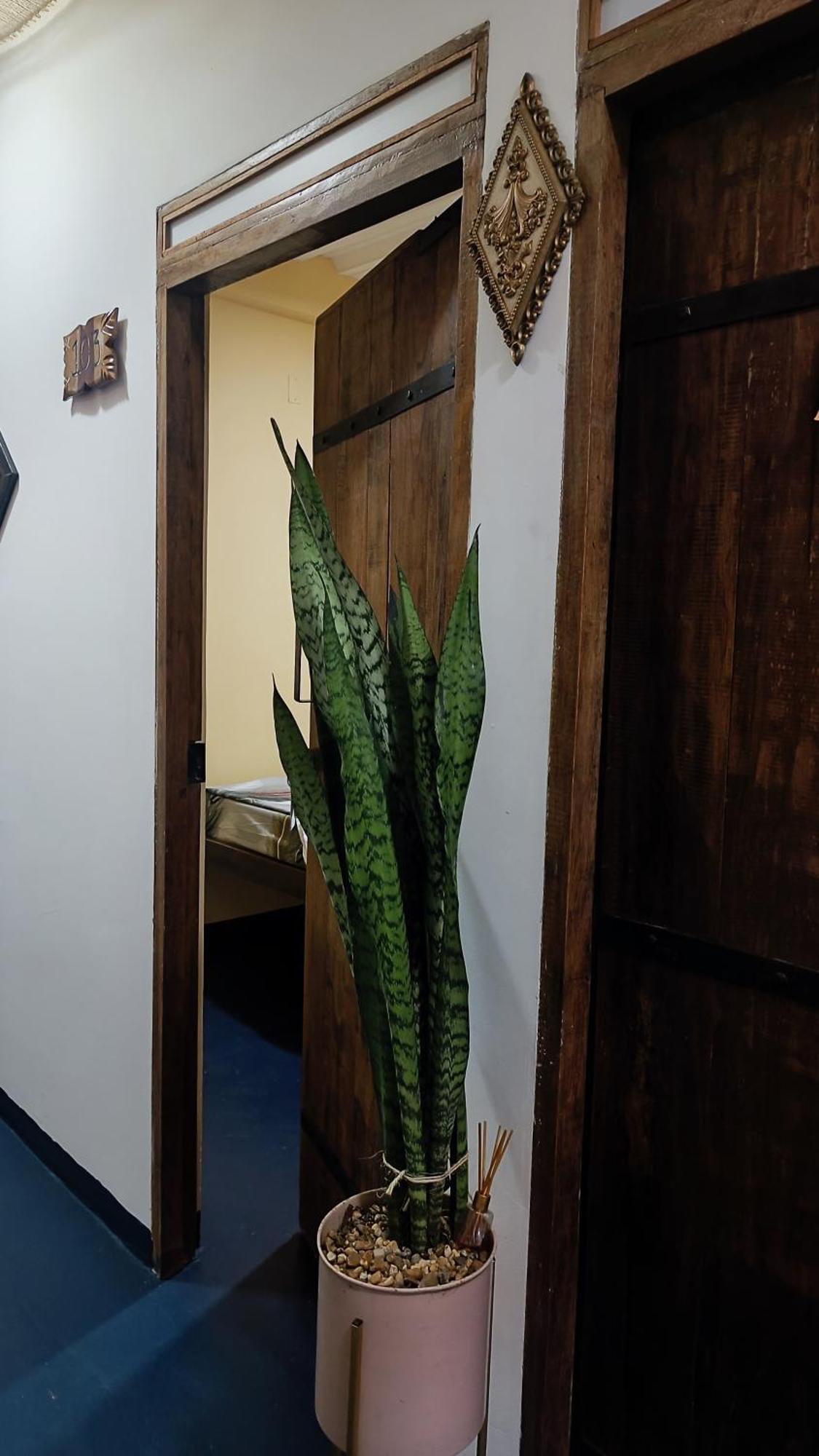 Hotel Gavas Amazonas Leticia Luaran gambar